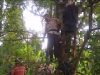 Ditemukan Tergantung Di Pohon Cengkeh Setelah 40 Hari Agus Sugianto Meninggalkan Rumah