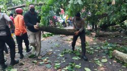 Satuan Samapta Polres Sukabumi dan Tim Gabungan Evakuasi Pohon Tumbang Yang Menutupi Jalan